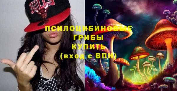 ешки Алзамай