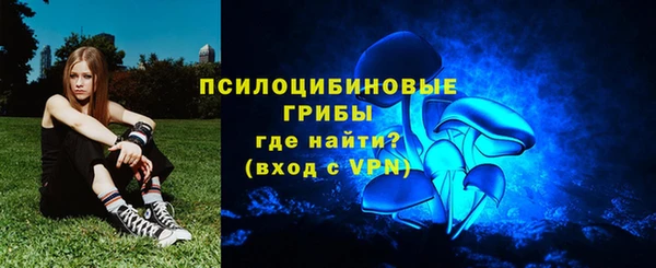 ешки Алзамай