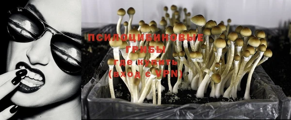 ешки Алзамай
