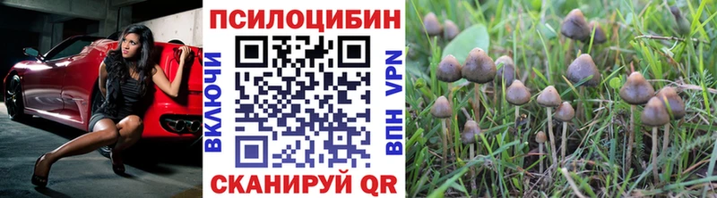 наркотики  Нягань  Псилоцибиновые грибы Psilocybine cubensis 